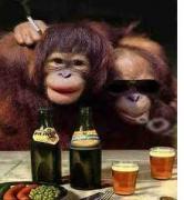 monkey party.JPG